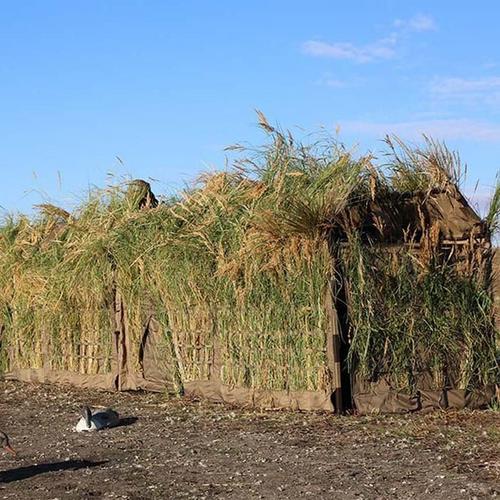 ALPS OutdoorZ DU Alpha A-Frame Waterfowl Blind - Primary Image