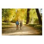 SWAROVSKI OPTIK AT Balance 18-45x65mm Angled Spotting Scope - Thumbnail 4 of 14