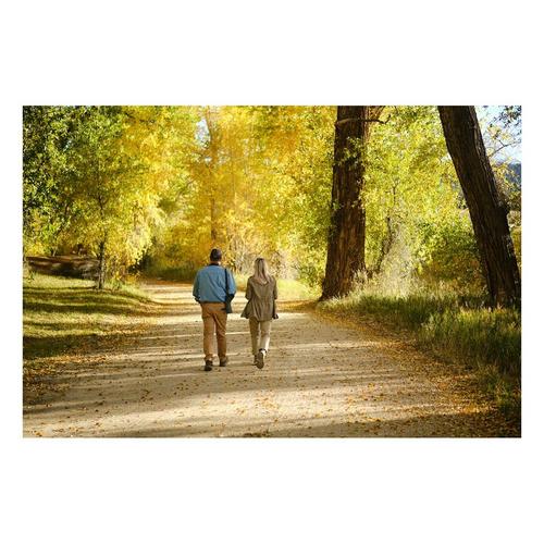 SWAROVSKI OPTIK AT Balance 18-45x65mm Angled Spotting Scope - Primary Image