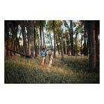 SWAROVSKI OPTIK AT Balance 18-45x65mm Angled Spotting Scope - Thumbnail 5 of 14