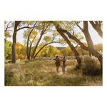 SWAROVSKI OPTIK AT Balance 18-45x65mm Angled Spotting Scope - Thumbnail 7 of 14