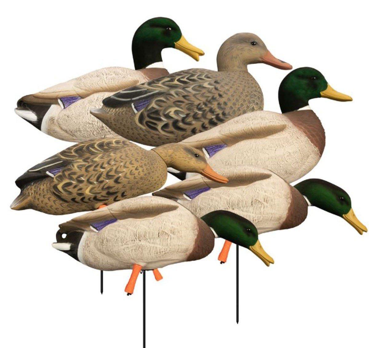Higdon Magnum Full Body Mallard, Variety Pk, Flocked Heads 6 Pack - Higdon