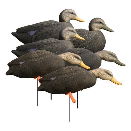 Higdon Magnum Full-Body Black Duck, Variety Pk - Primary Image