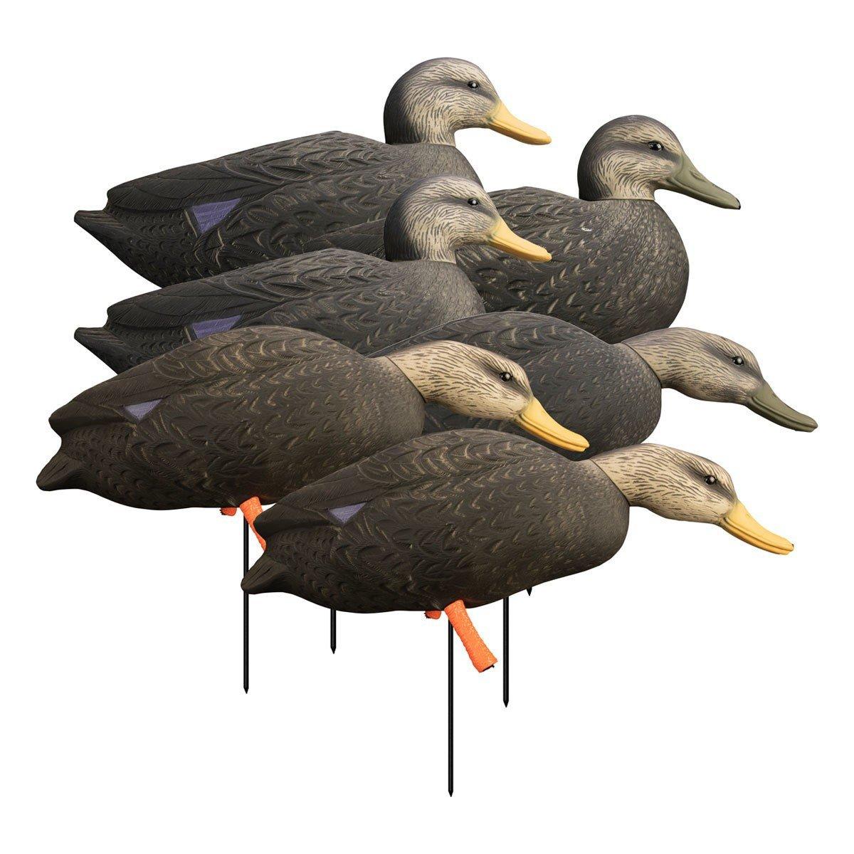 Higdon Magnum Full-Body Black Duck, Variety Pk - Higdon