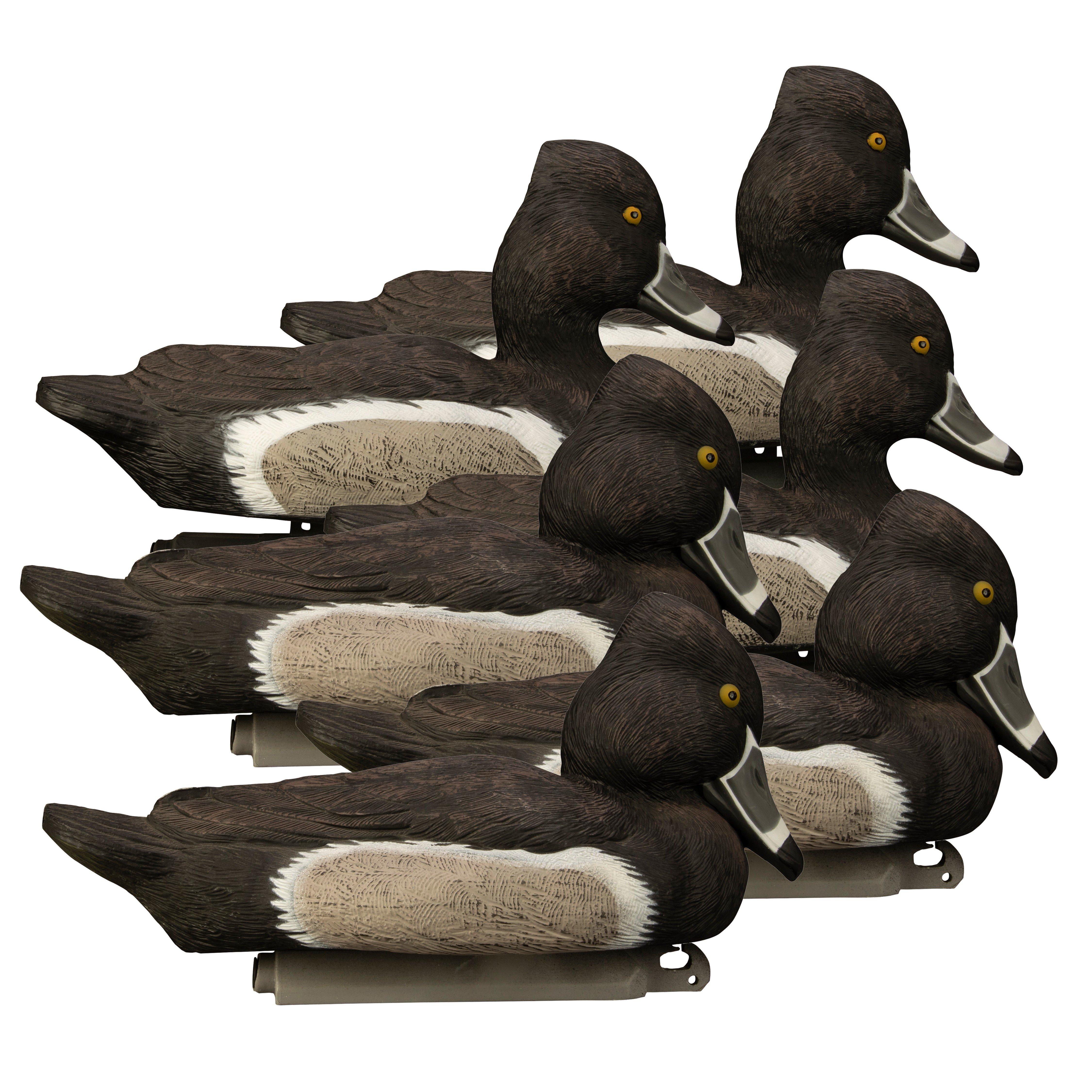 Higdon Outdoors Battleship Ringneck Foam Filled Drakes 6 pk Decoys - Higdon