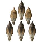 Higdon Outdoors Battleship Gadwall Foam Filled 6 Pk Decoys - Thumbnail 1 of 3