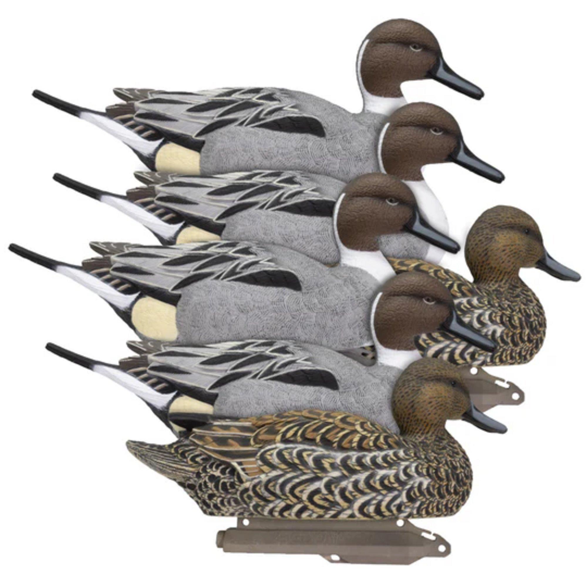 Higdon Legacy Mag Pintail Duck Decoys 6 Pack