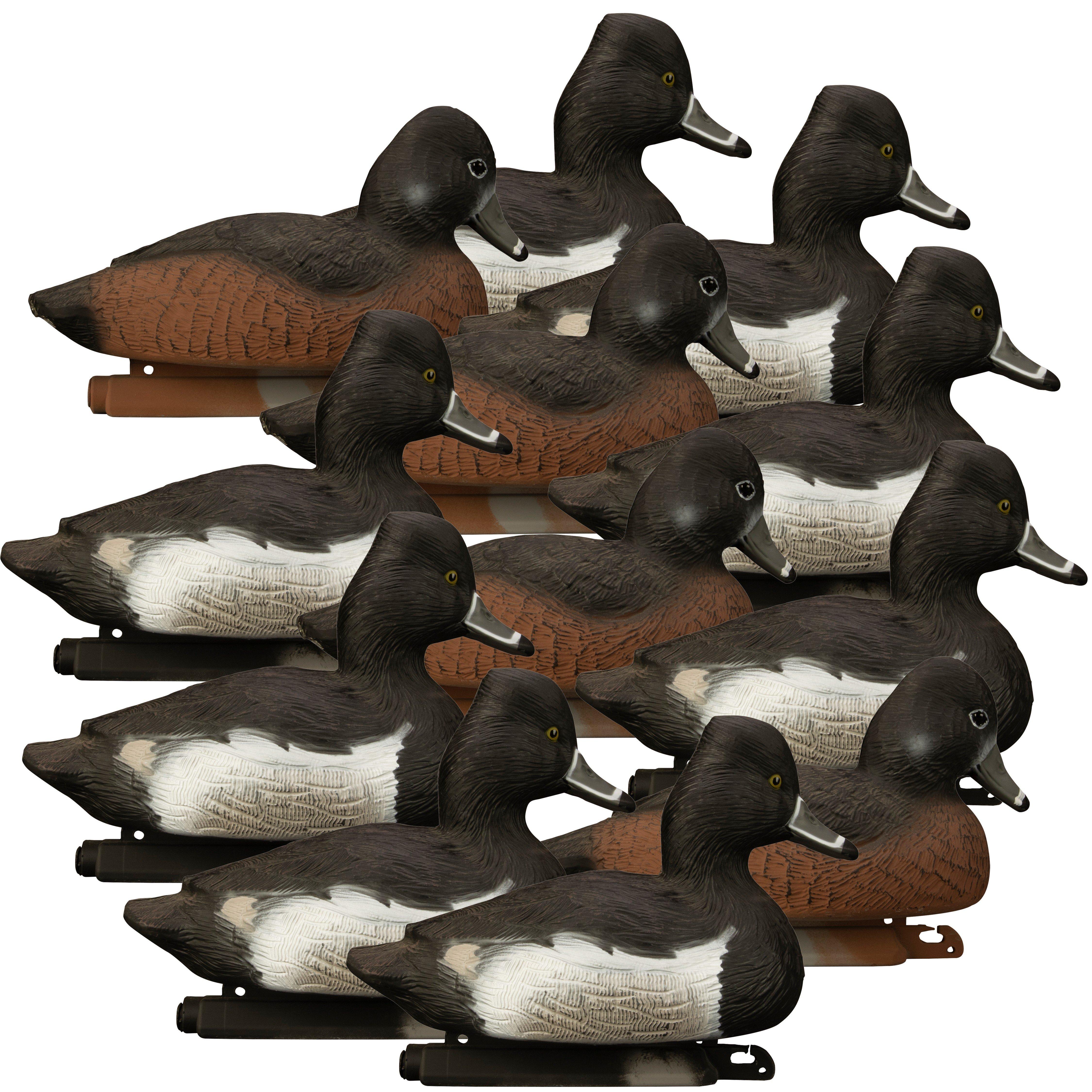 Higdon Standard Ring Neck Foam Filled 12 pk Decoys - Higdon