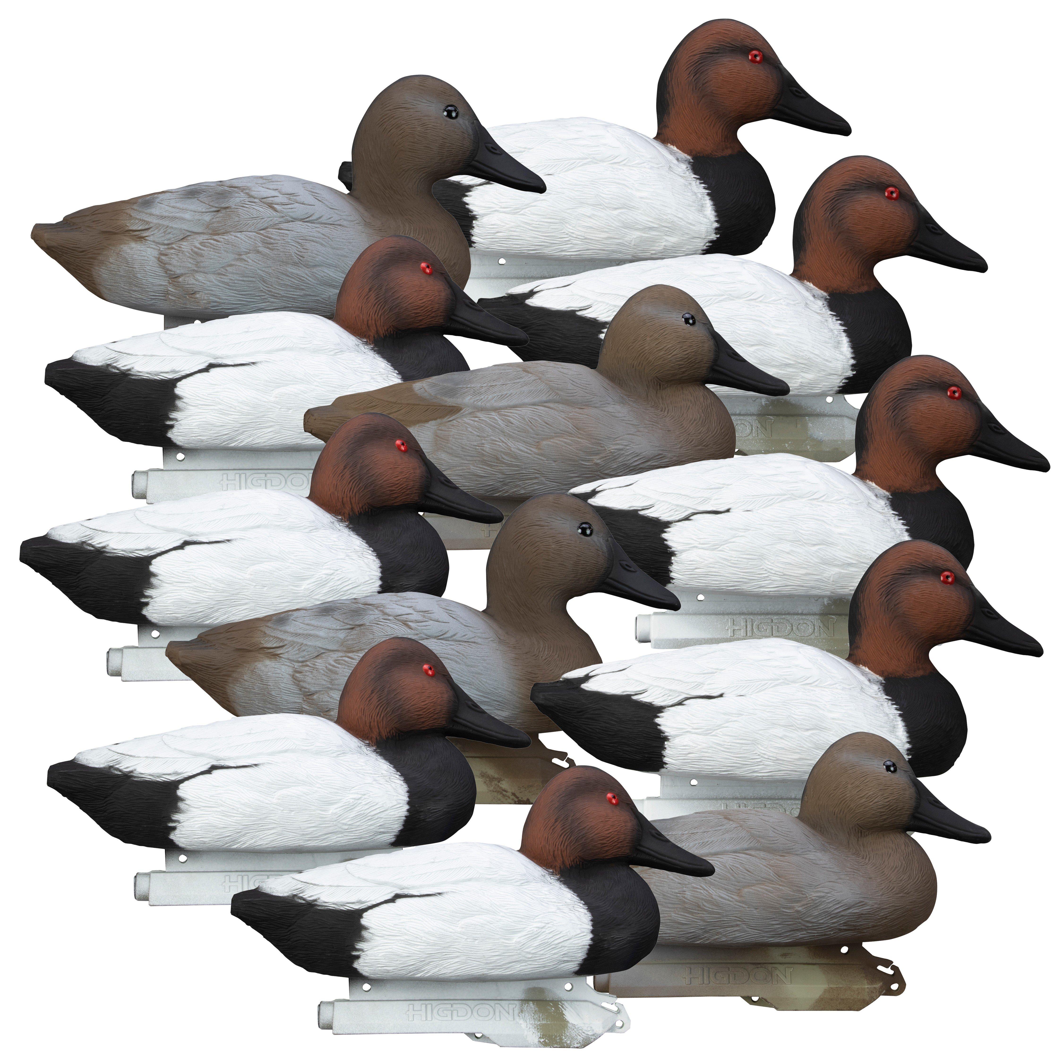 Higdon Standard Canvasback Foam Filled 12 pk Decoys - Higdon