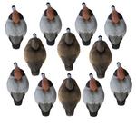 Higdon Standard Redhead Foam Filled 12 pk Decoys - Thumbnail 2 of 2