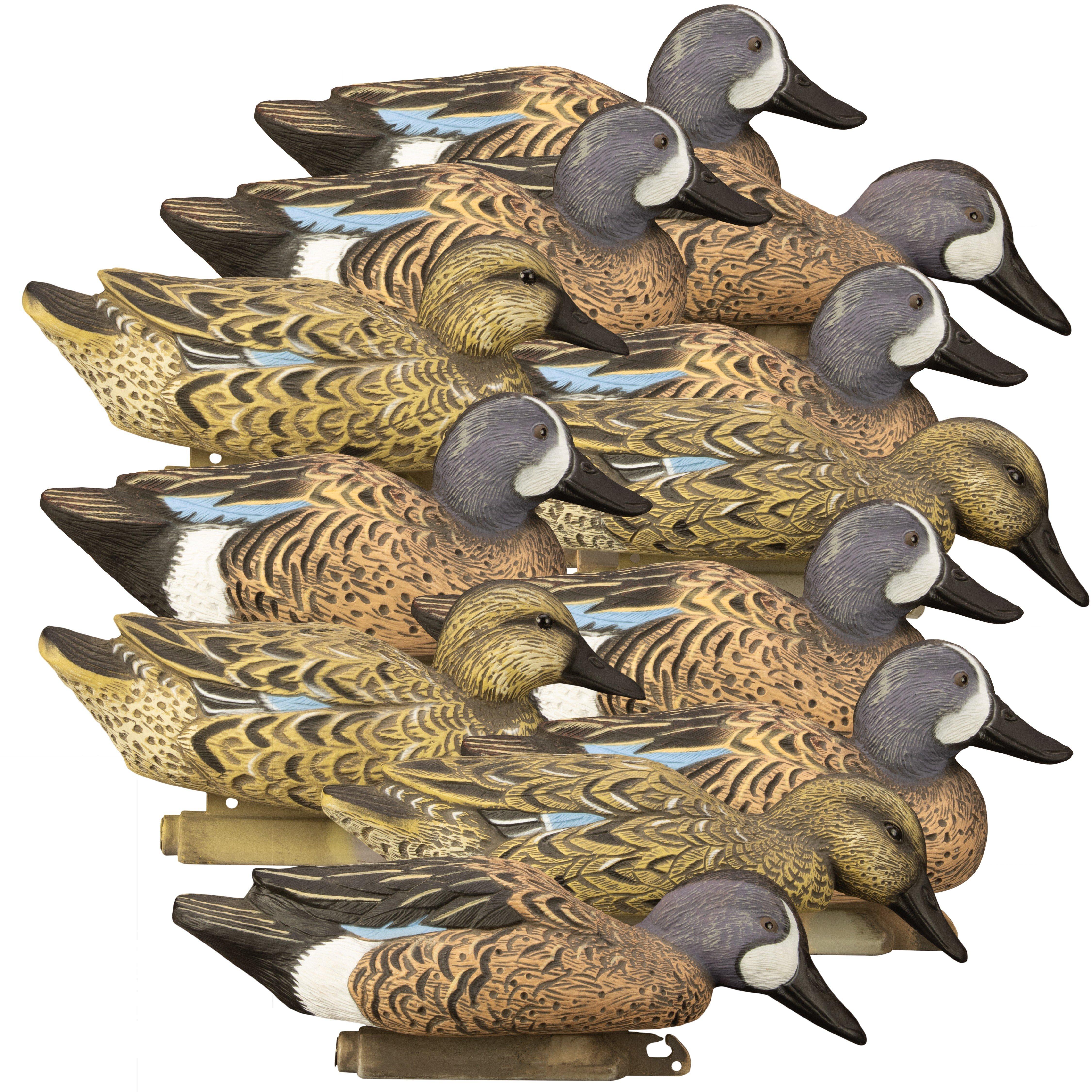 Higdon Standard Blue Wing Teal Foam filled (12pk) - Higdon