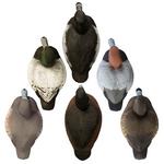 Higdon Standard Diver Decoy Foam Filled 6 Pack - Thumbnail 3 of 10