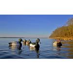 Higdon Standard Diver Decoy Foam Filled 6 Pack - Thumbnail 4 of 10