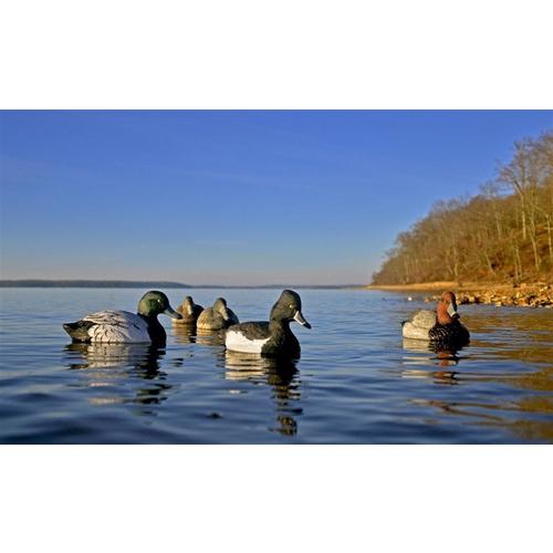 Higdon Standard Diver Decoy Foam Filled 6 Pack - Primary Image