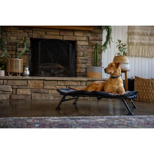 Momarsh Home Elevated Cot Dog Bed - Primary Image