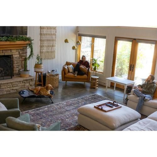 Momarsh Home Elevated Cot Dog Bed - Primary Image