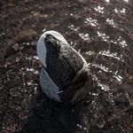 Higdon The Ringer Mallard Drake Duck Decoy - Thumbnail 5 of 5