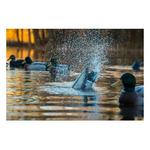 Higdon Pulsator PRO Mallard Drake - Thumbnail 4 of 7