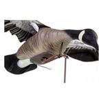 Higdon Clone Canada Goose Decoy - Thumbnail 3 of 6