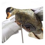 Higdon Clone Mallard Hen Decoy - Thumbnail 2 of 5