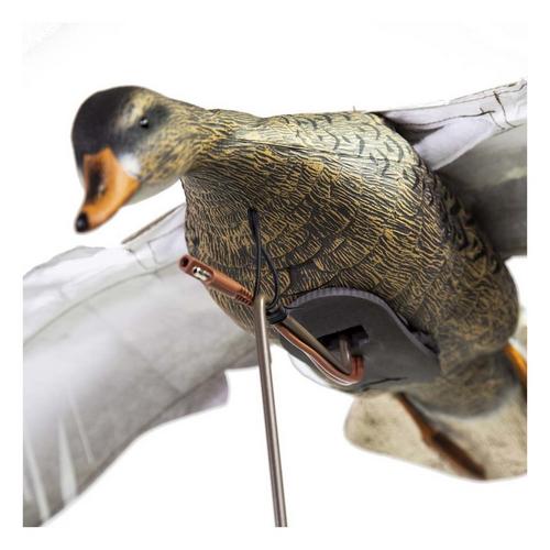 Higdon Clone Mallard Hen Decoy - Primary Image