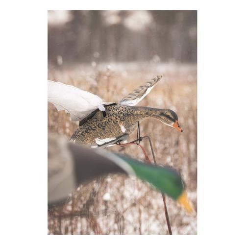 Higdon Clone Mallard Hen Decoy - Primary Image