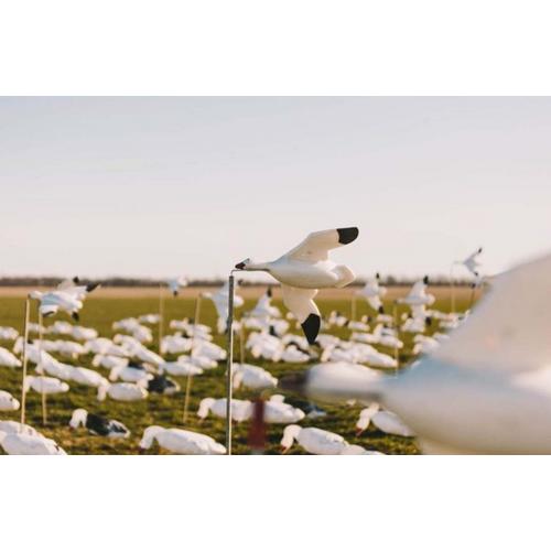 Feather Flyers Snow Goose Decoy - Primary Image