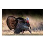 Higdon Hard Body Upright Hen Turkey Decoy - Thumbnail 3 of 4