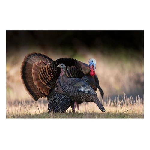 Higdon Hard Body Upright Hen Turkey Decoy - Primary Image