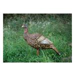 Higdon Hard Body Upright Hen Turkey Decoy - Thumbnail 4 of 4