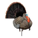 Higdon Apex Strutter Hard Body Turkey Decoy - Thumbnail 1 of 5
