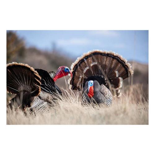Higdon Apex Strutter Hard Body Turkey Decoy - Primary Image