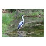 Higdon Heron Decoy - Thumbnail 3 of 6