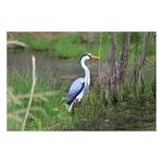 Higdon Heron Decoy - Thumbnail 5 of 6