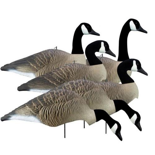 Higdon Alpha Wobbler, Magnum Canada Full Form Shell Variety Pack (6pk) - Primary Image