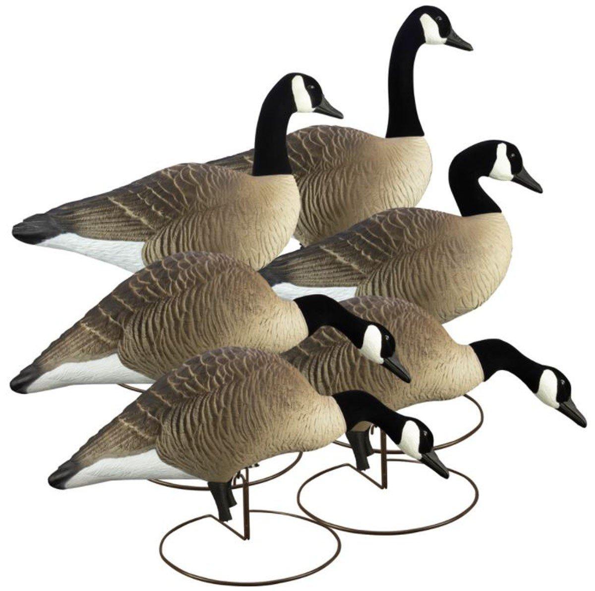 Higdon Alpha Magnum Canada Full Body Variety Pack - Higdon