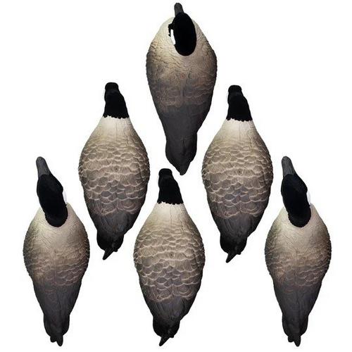 Higdon Apex Full Body Canada Goose Decoys Variety Pack A 6 Pack - Primary Image