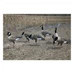 Higdon Apex Full Body Canada Goose Decoys Variety Pack A 6 Pack - Thumbnail 3 of 3