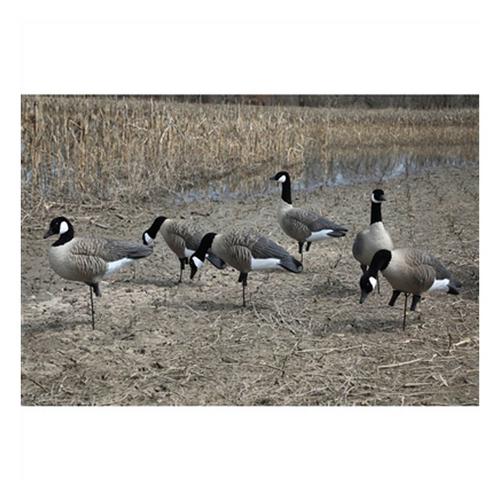 Higdon Apex Full Body Canada Goose Decoys Variety Pack A 6 Pack - Primary Image
