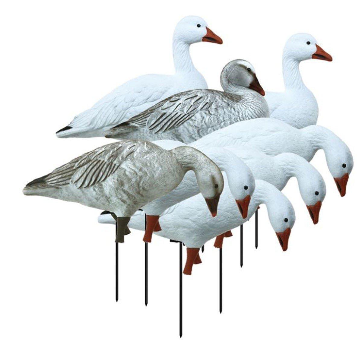 Higdon APEX Full-Size Full-Body Variety Pk, Snow/Juvenile (8pk) - Higdon