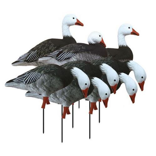 Higdon APEX Full-Size Full-Body Variety Pk, Blue (8pk) - Primary Image