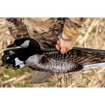 Higdon FLATS Magnum Canada Motion Silhouette Decoys 12pk - Thumbnail 5 of 9