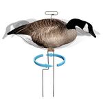 Higdon FLATS Magnum Canada Motion Silhouette Decoys 12pk - Thumbnail 1 of 9