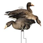 Higdon FLATS Specklebelly Goose Motion Silhouette Decoys 12pk - Thumbnail 1 of 6