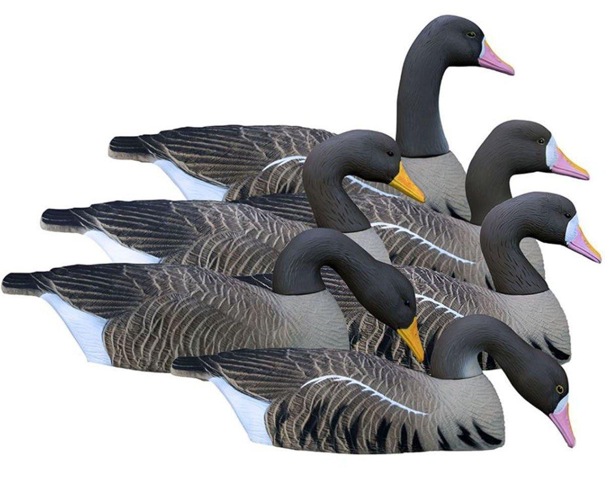 Higdon Full Size Half Shell, Speck (6pk) - Higdon