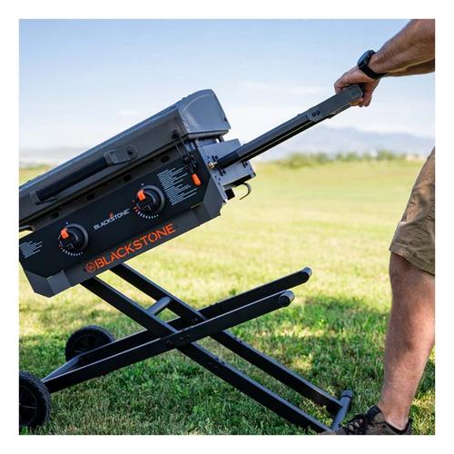 Blackstone Iron Forged Omnivore 22