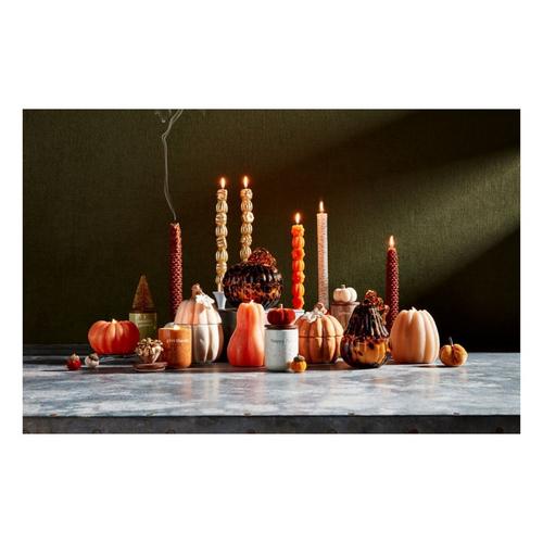 Mud Pie Gather (Sold Separately in Sets of 2) Taper Candle - Primary Image