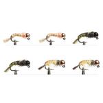 Scheels Outfitters Classic Caddis Euro Nymphs Fly Assortment 6 pack - Thumbnail 1 of 4