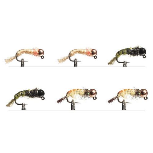 Scheels Outfitters Classic Caddis Euro Nymphs Fly Assortment 6 pack - Primary Image