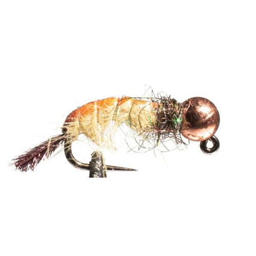 Scheels Outfitters Classic Caddis Euro Nymphs Fly Assortment 6 pack - Primary Image